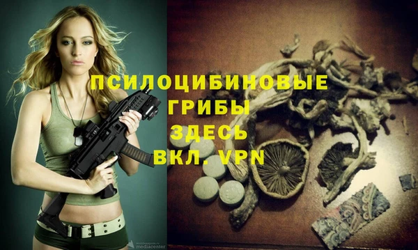 соль ск Беломорск