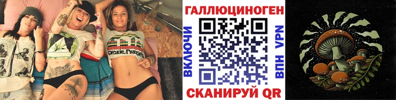Галлюциногенные грибы Psilocybe  Горно-Алтайск 